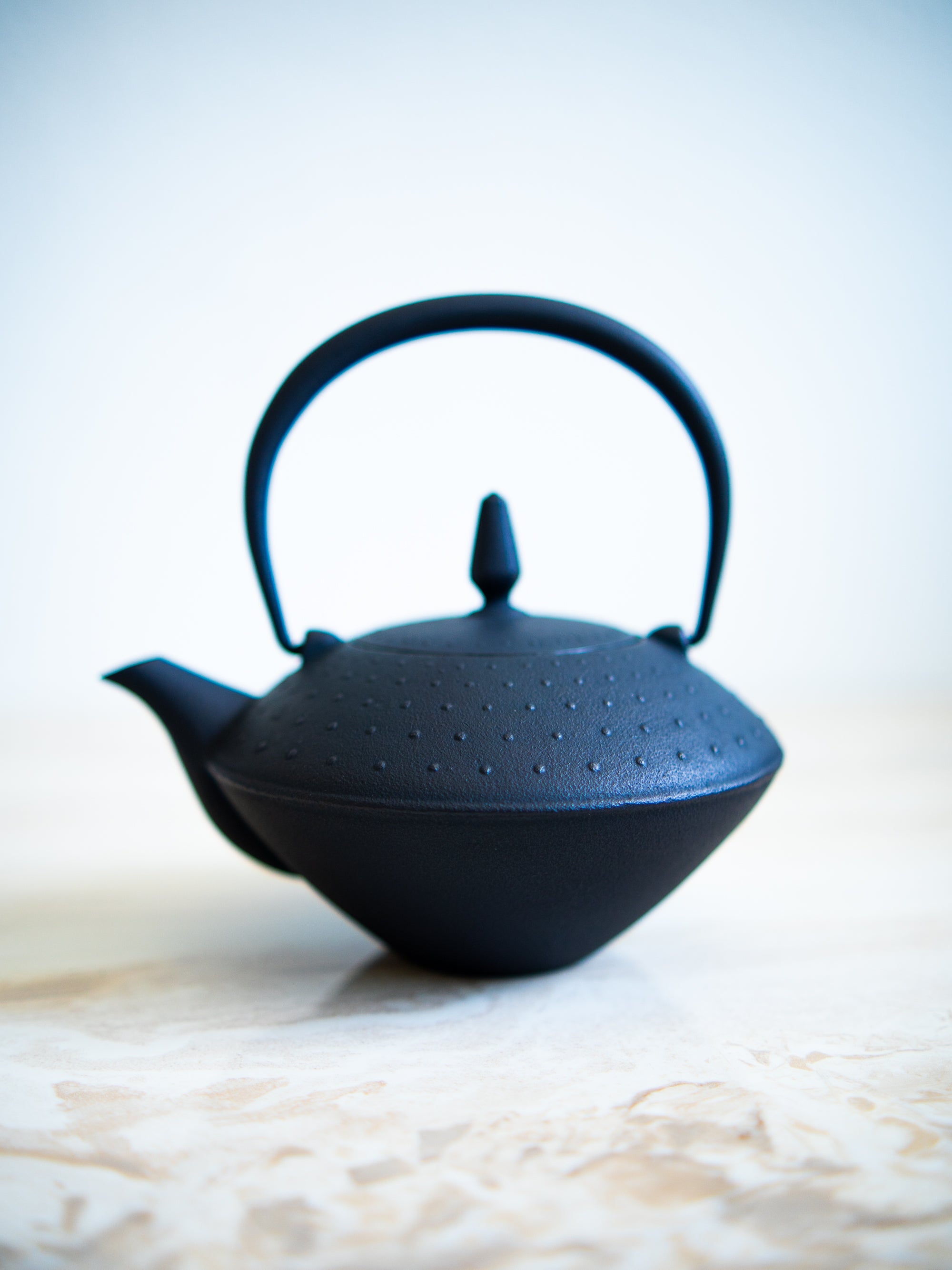 Japanese Nambu Iron Tea Pot Sui