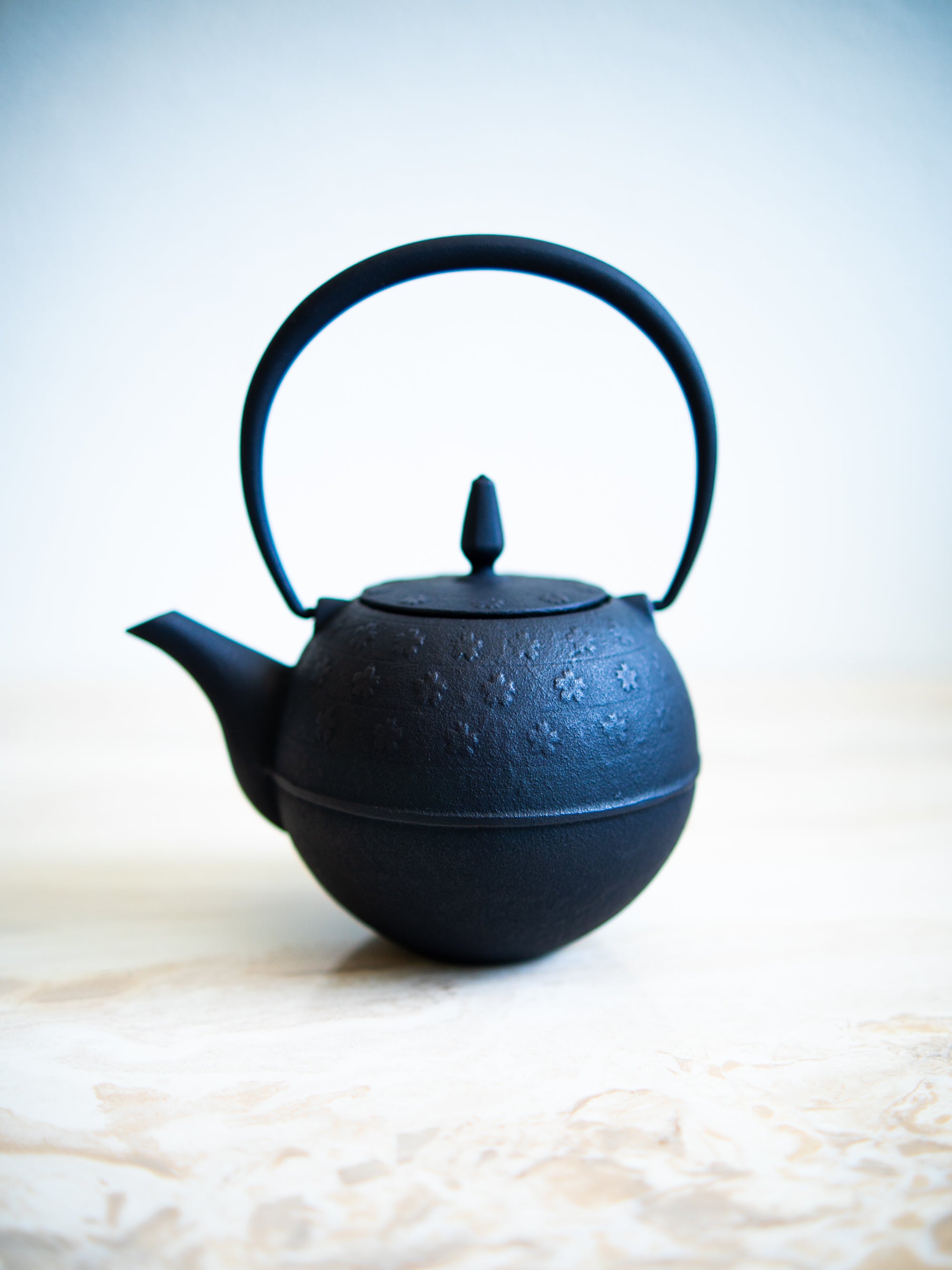 Japanese Nambu Iron Tea Pot Saskura Sumi