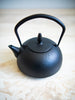 Japanese Nambu Iron Tea Pot Haru