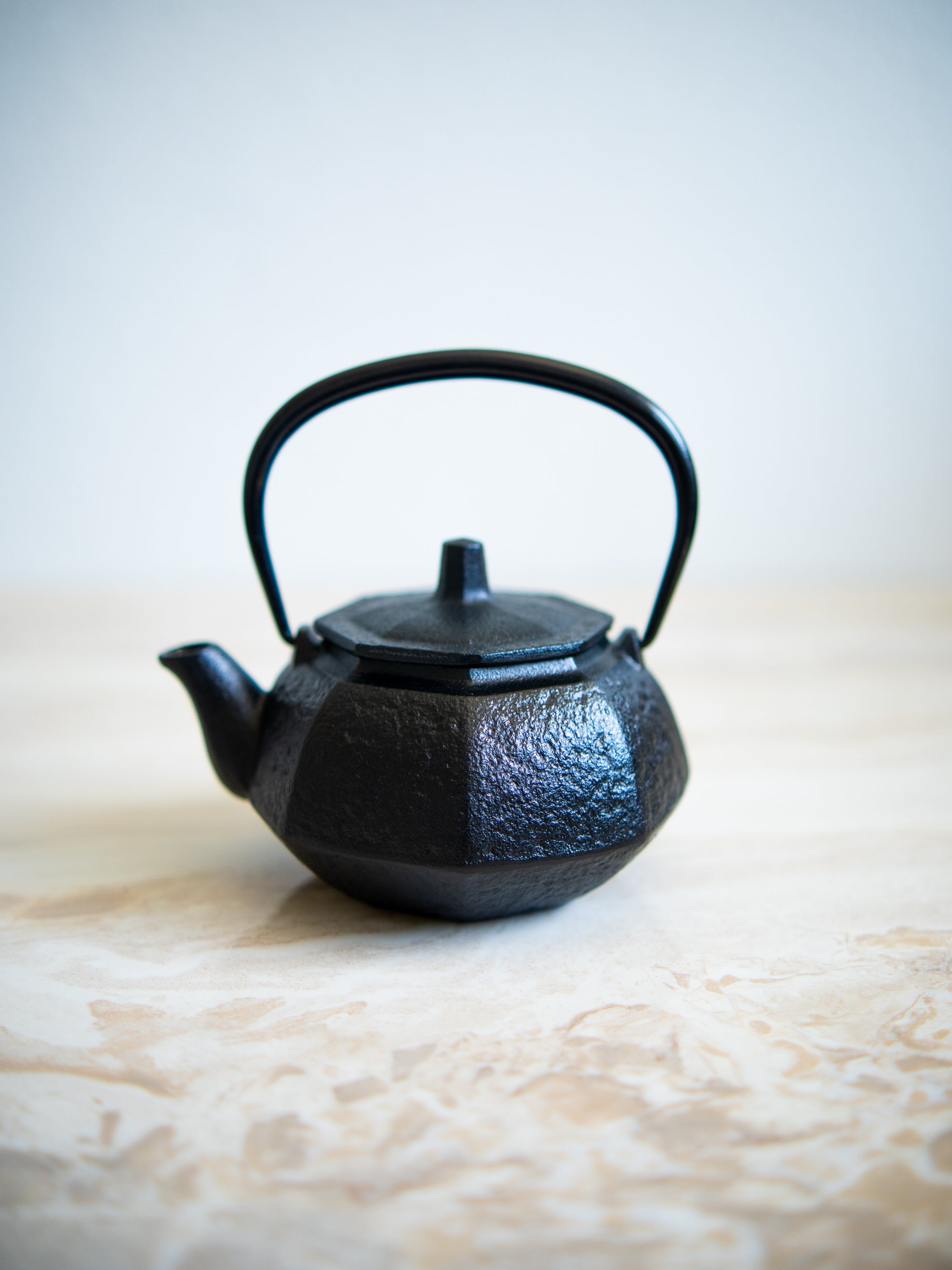 Japanese Nambu Iron Tea Pot Suehiro